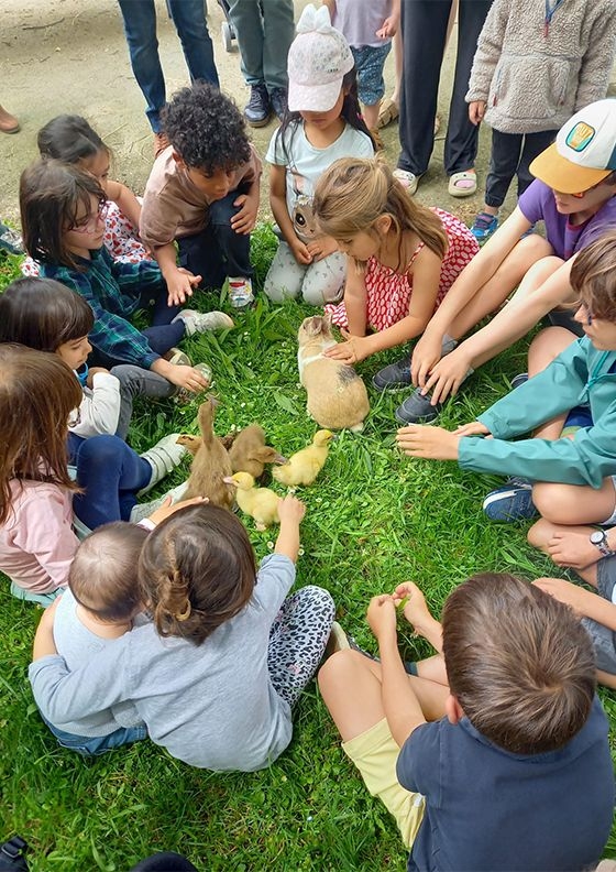 Animation pour enfants, les animaux de la ferme - Festival du Bien Manger Toulouse