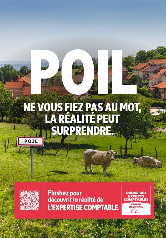 Affiche "Poil" extrait de la campagne publicitaire "Les mots moches" pour l'Ordre des Experts Comptables