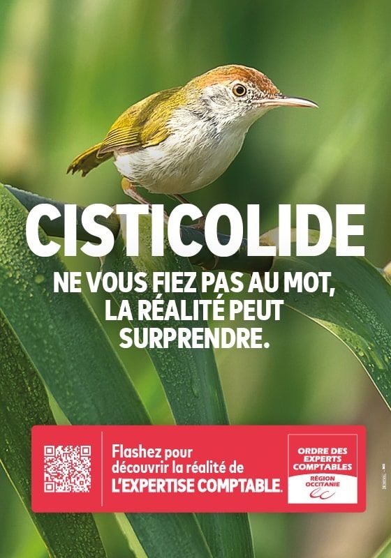 Affiche "Cisticolide" extrait de la campagne publicitaire "Les mots moches" pour l'Ordre des Experts Comptables